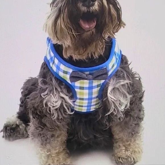 Vibrant Life Dog Plaid Bow Tie Harness - Picture 6 of 15